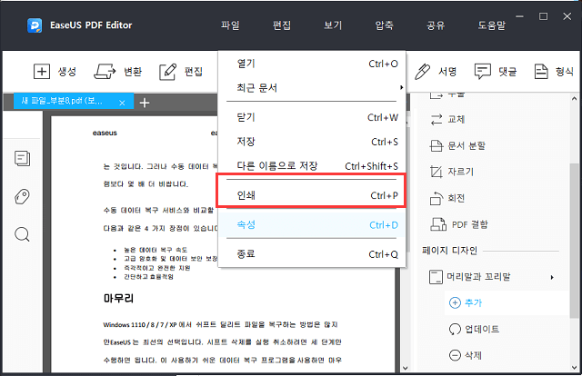 pdf 인쇄4