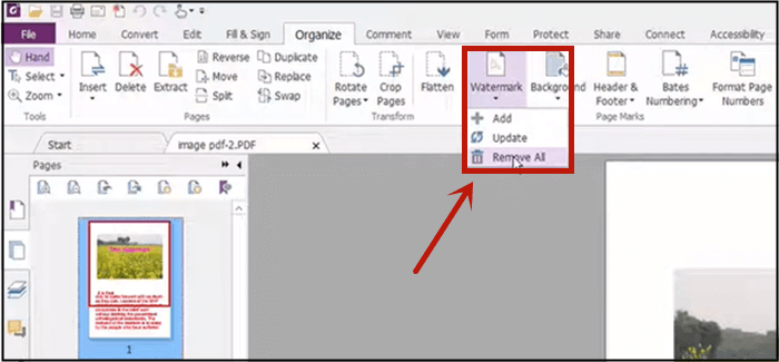 foxit editor watermark foxit editor watermark