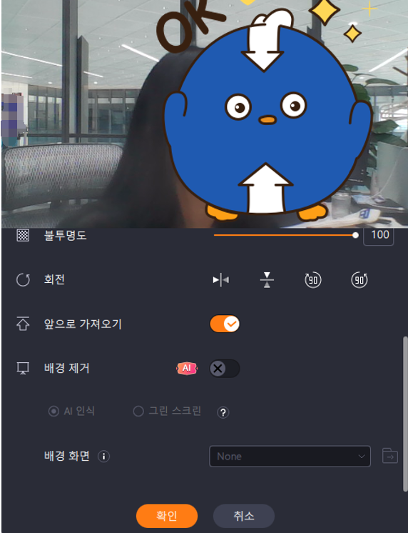 배경 제거 활성화
