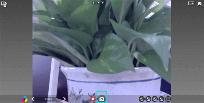 pixect로 사진 찍기