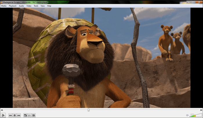 VLC 미디어 플레이어